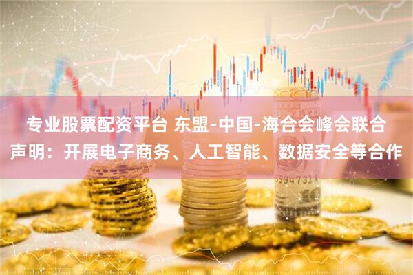 专业股票配资平台 东盟-中国-海合会峰会联合声明：开展电子商务、人工智能、数据安全等合作