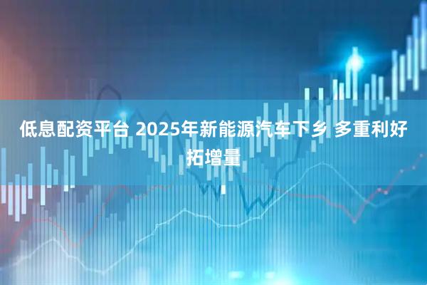 低息配资平台 2025年新能源汽车下乡 多重利好拓增量