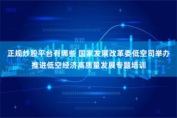 正规炒股平台有哪些 国家发展改革委低空司举办推进低空经济高质量发展专题培训